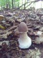 /album/fotogaleria-nas-les-/a20140829-144507-jpg/